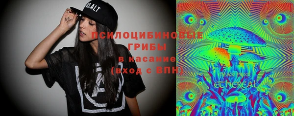 дживик Белокуриха