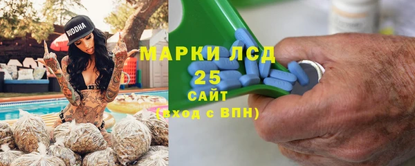 дживик Белокуриха