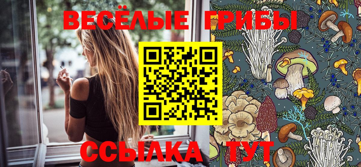 Лыткарино  Псилоцибиновые грибы Cubensis  Псилоцибиновые грибы мицелий  Вход с VPN 